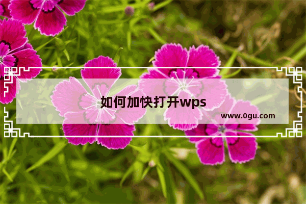 如何加快打开wps