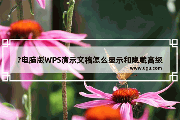 ?电脑版WPS演示文稿怎么显示和隐藏高级日程表