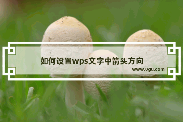 如何设置wps文字中箭头方向