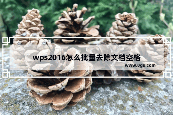 wps2016怎么批量去除文档空格