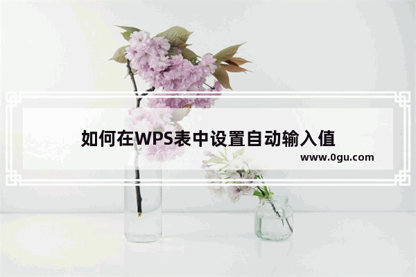 如何在WPS表中设置自动输入值