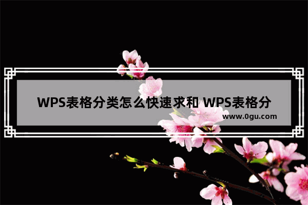 WPS表格分类怎么快速求和 WPS表格分类快速求和操作教程分享