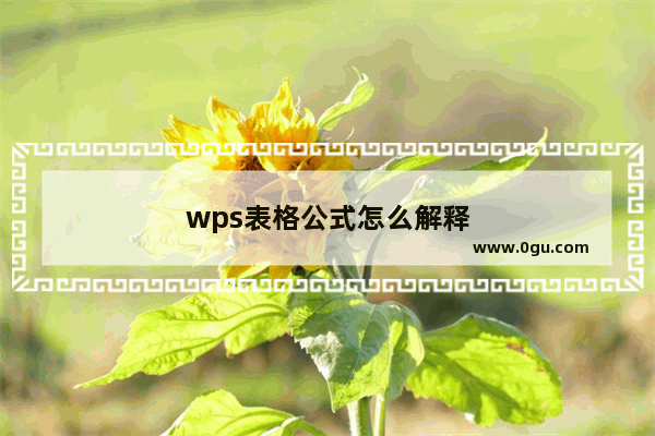 wps表格公式怎么解释