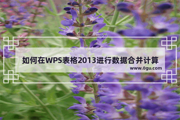 如何在WPS表格2013进行数据合并计算