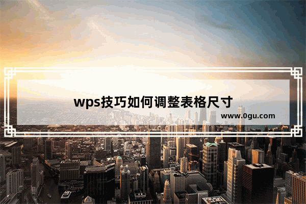 wps技巧如何调整表格尺寸