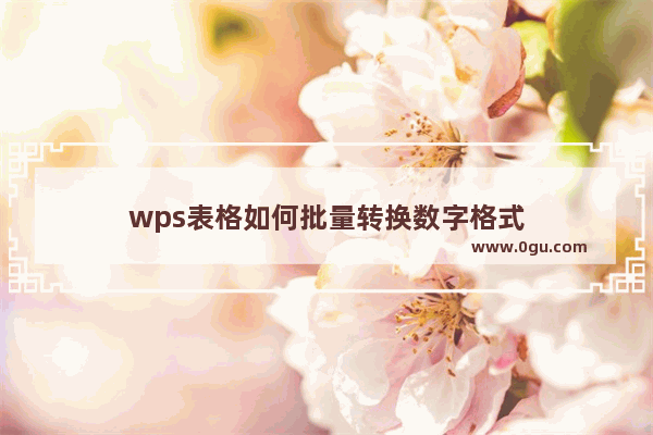 wps表格如何批量转换数字格式