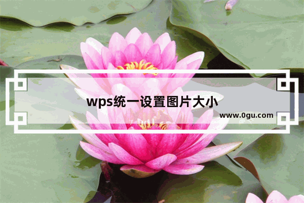 wps统一设置图片大小