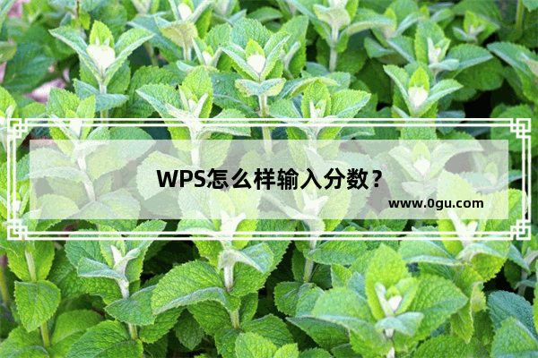 WPS怎么样输入分数？