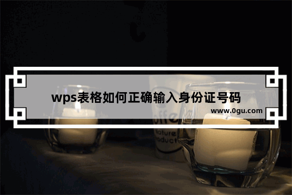 wps表格如何正确输入身份证号码