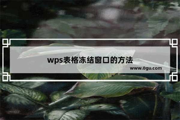 wps表格冻结窗口的方法