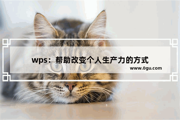 wps：帮助改变个人生产力的方式