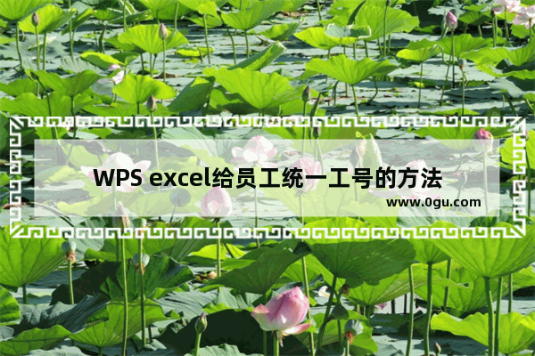 WPS excel给员工统一工号的方法