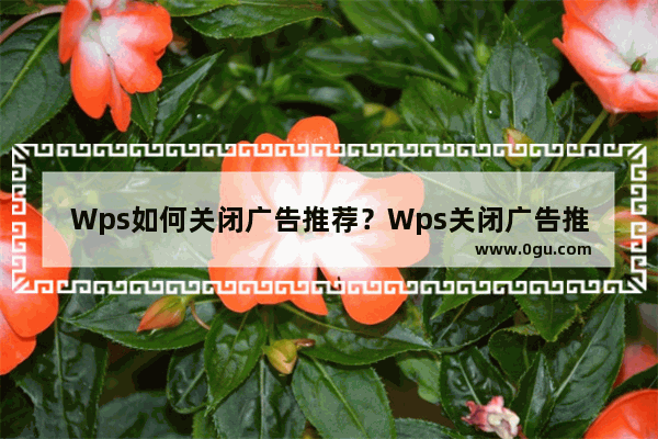 Wps如何关闭广告推荐？Wps关闭广告推荐的方法