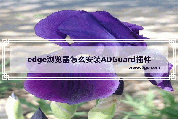 edge浏览器怎么安装ADGuard插件 edge浏览器安装ADGuard广告拦截器插件的方法