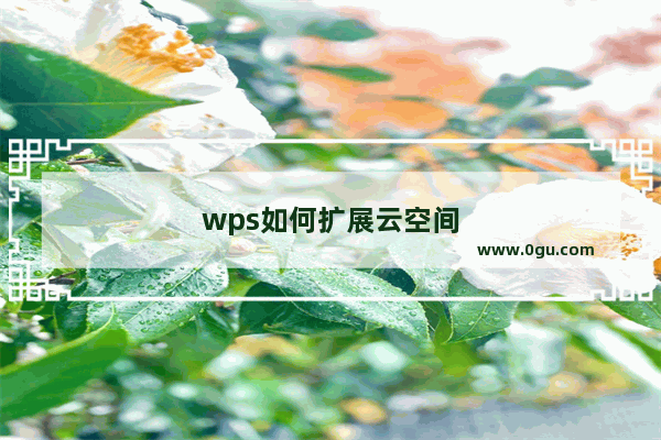 wps如何扩展云空间