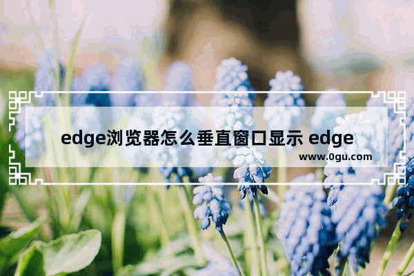 edge浏览器怎么垂直窗口显示 edge浏览器设置标签页垂直显示的方法