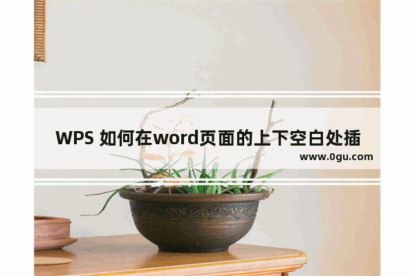 WPS 如何在word页面的上下空白处插入页码