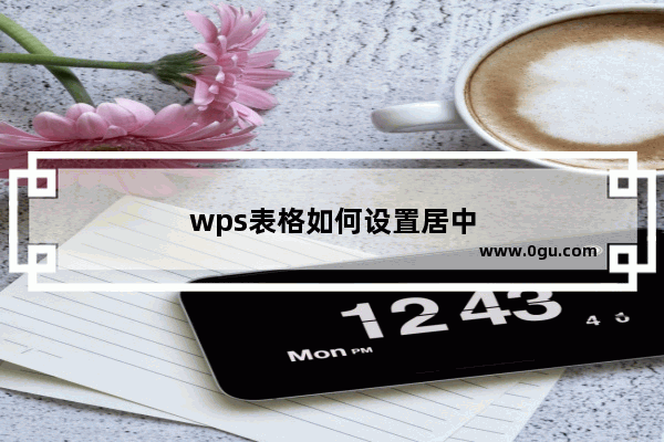 wps表格如何设置居中