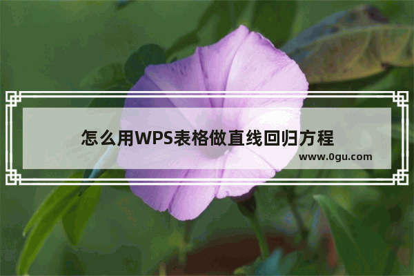 怎么用WPS表格做直线回归方程