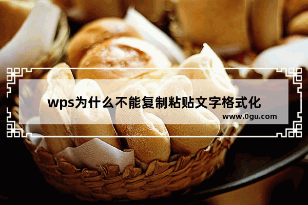 wps为什么不能复制粘贴文字格式化