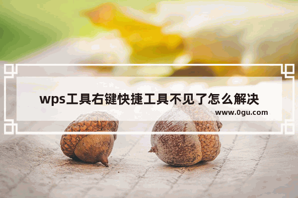 wps工具右键快捷工具不见了怎么解决