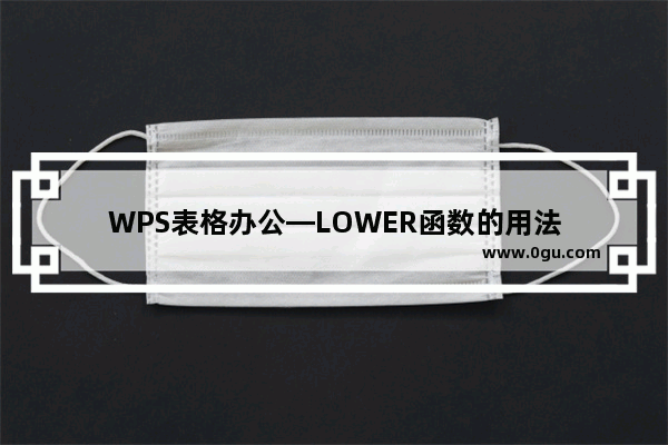 WPS表格办公—LOWER函数的用法