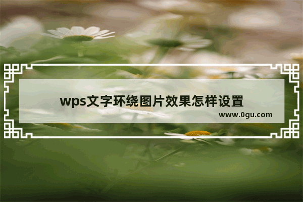 wps文字环绕图片效果怎样设置