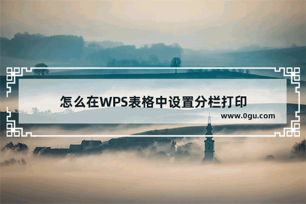 怎么在WPS表格中设置分栏打印