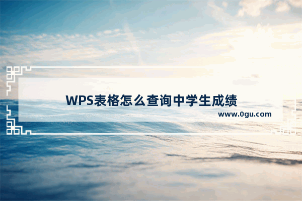 WPS表格怎么查询中学生成绩