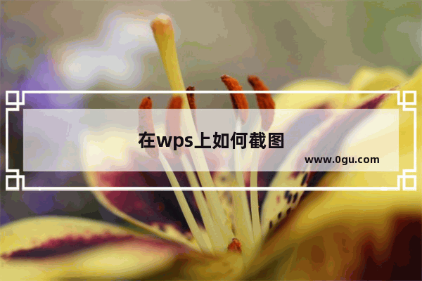 在wps上如何截图