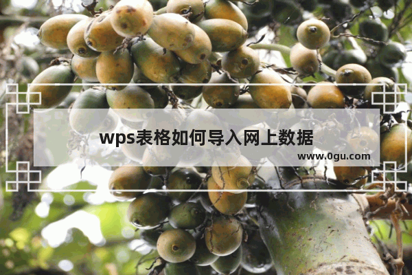 wps表格如何导入网上数据