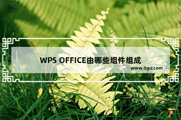 WPS OFFICE由哪些组件组成