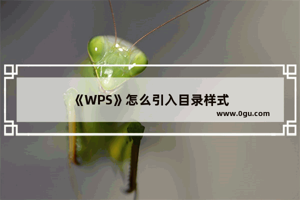 《WPS》怎么引入目录样式