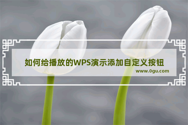 如何给播放的WPS演示添加自定义按钮