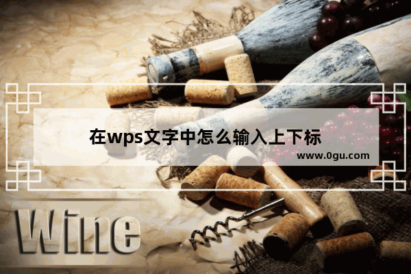 在wps文字中怎么输入上下标