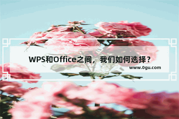 WPS和Office之间，我们如何选择？