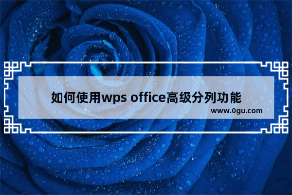 如何使用wps office高级分列功能？