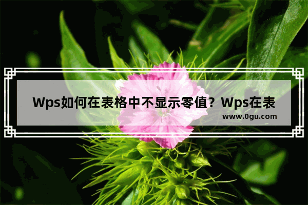 Wps如何在表格中不显示零值？Wps在表格中不显示零值方法