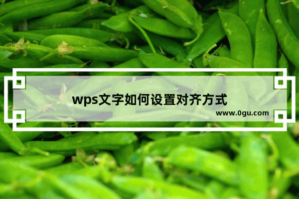 wps文字如何设置对齐方式