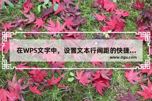 在WPS文字中，设置文本行间距的快捷键是什么