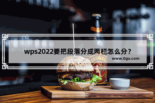 wps2022要把段落分成两栏怎么分？