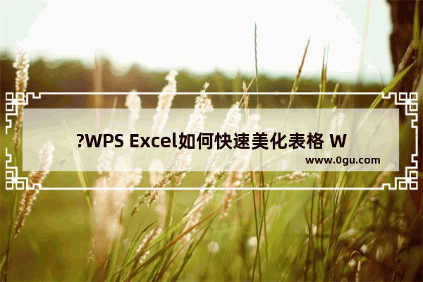 ?WPS Excel如何快速美化表格 WPS表格中一键美化表格的方法教程