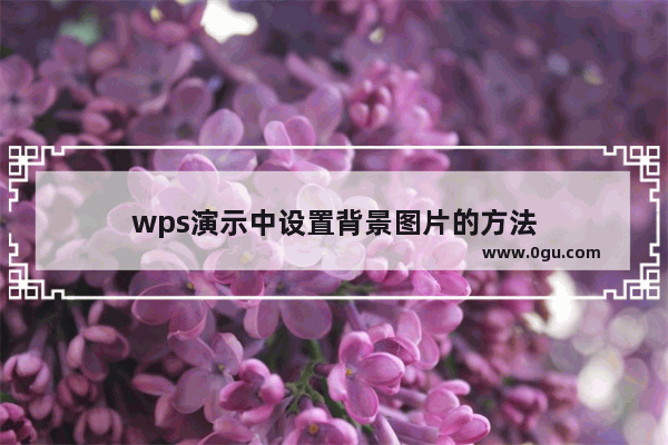 wps演示中设置背景图片的方法