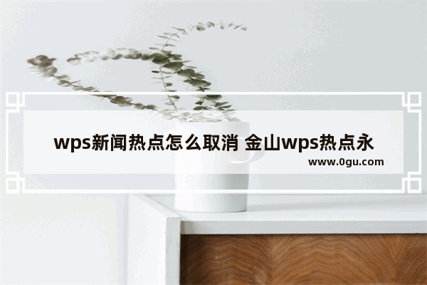 wps新闻热点怎么取消 金山wps热点永久关闭方法