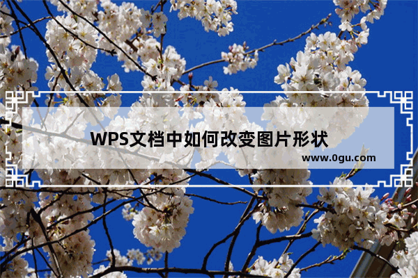 WPS文档中如何改变图片形状