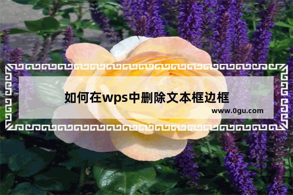 如何在wps中删除文本框边框