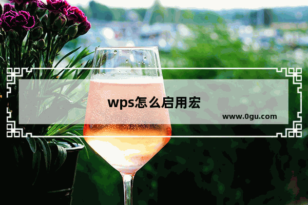 wps怎么启用宏