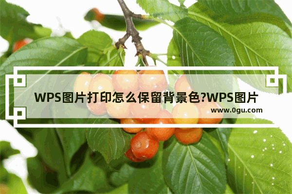 WPS图片打印怎么保留背景色?WPS图片打印保留背景色方法