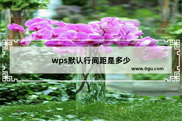 wps默认行间距是多少