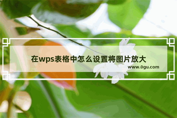 在wps表格中怎么设置将图片放大